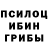 Галлюциногенные грибы Psilocybine cubensis icantstandthequiet