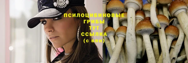Альфа ПВП Михайловск