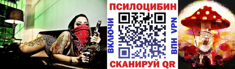 Купить  Иноземцево  Псилоцибиновые грибы Magic Shrooms 