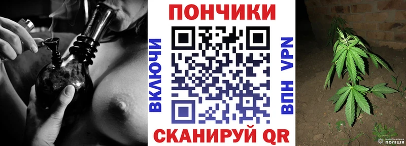 Конопля OG Kush  Купить закладки  Иноземцево 